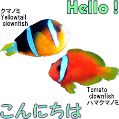 [LINEスタンプ] 沖縄の魚のそっくりさんの英会話と日本語の画像（メイン）