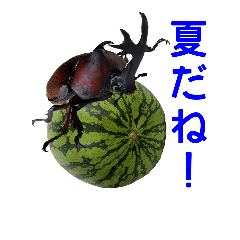 [LINEスタンプ] 昆虫館2