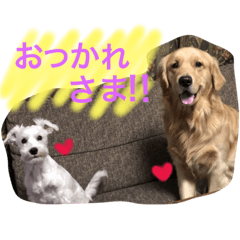 [LINEスタンプ] ルーク♡アオ