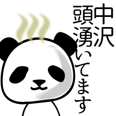 [LINEスタンプ] 中沢■面白パンダ名前スタンプ