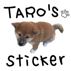 [LINEスタンプ] 柴犬TAROのスタンプ