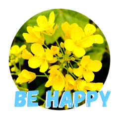 [LINEスタンプ] positive flowers 1