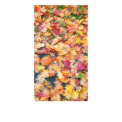 [LINEスタンプ] japanese autumnの画像（メイン）