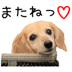 [LINEスタンプ] はなちんのお部屋3