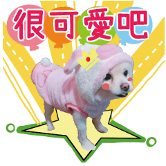 [LINEスタンプ] King baby dog