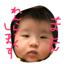 [LINEスタンプ] こころちゃんの日々