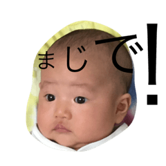 [LINEスタンプ] むすこ の すたんぷ