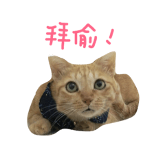 [LINEスタンプ] ChuTzMeow