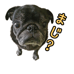 [LINEスタンプ] ななさん その1