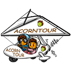 [LINEスタンプ] ACORN TOUR : Travel's felling