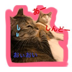 [LINEスタンプ] いちこ＆双葉①