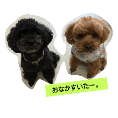 [LINEスタンプ] family dog 2