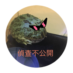 [LINEスタンプ] law of frog part1