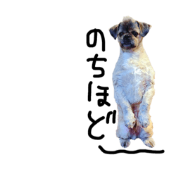 [LINEスタンプ] ぬーく2