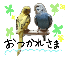 [LINEスタンプ] wagayanosekiseiinjotati