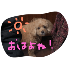 [LINEスタンプ] ココワトソン