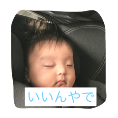 [LINEスタンプ] たき君の写真スタンプ1