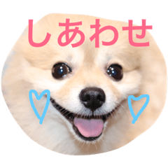 [LINEスタンプ] ラテロコルナ