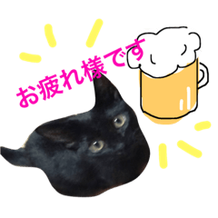 [LINEスタンプ] キジとらちゃびと黒猫ちゃこ