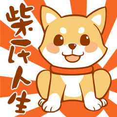 [LINEスタンプ] shiba inu life-Mengtai Ji