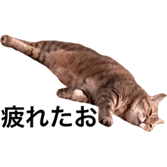 [LINEスタンプ] デブでブスな可愛いしゅりちゃん