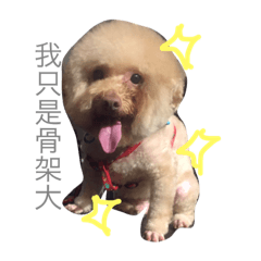 [LINEスタンプ] Duo Duo funny life