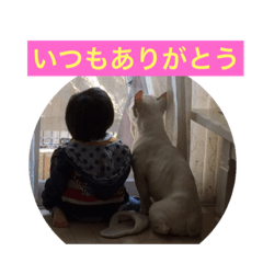 [LINEスタンプ] フレンチブル犬☆ナーティの日常