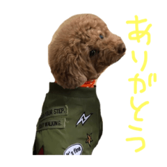 [LINEスタンプ] こまめの独り言