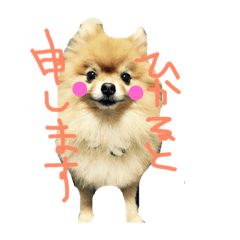 [LINEスタンプ] ひかどん