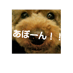 [LINEスタンプ] ベリーとチェリー