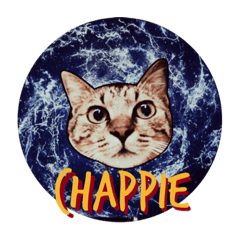 [LINEスタンプ] Chappie Cat