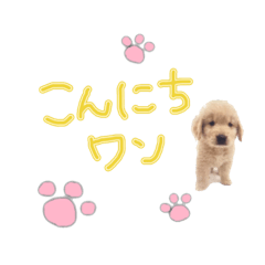 [LINEスタンプ] うちのゴンちゃん♂♡挨拶スタンプ2