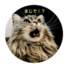 [LINEスタンプ] あおうみスタンプ