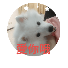 [LINEスタンプ] moamoabeardog2