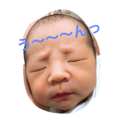 [LINEスタンプ] 糟谷3兄弟