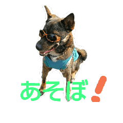 [LINEスタンプ] レオンと遊ぼう‼