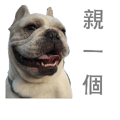 [LINEスタンプ] French Bulldog - King Tour 3