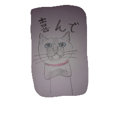 [LINEスタンプ] 猫のはる