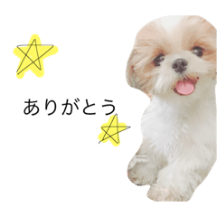 [LINEスタンプ] あんこわんわん