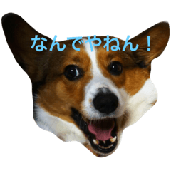 [LINEスタンプ] Mel is good