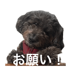 [LINEスタンプ] フィリップ 犬