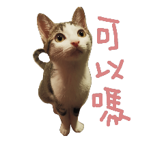 [LINEスタンプ] yuanyuan_0817