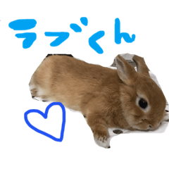 [LINEスタンプ] うさぎのラブくんスタンプ