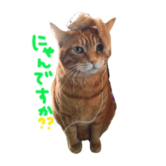 [LINEスタンプ] あめま大好き