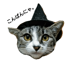 [LINEスタンプ] j-cat