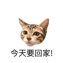 [LINEスタンプ] Hululululu