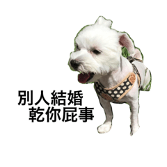 [LINEスタンプ] doggyago