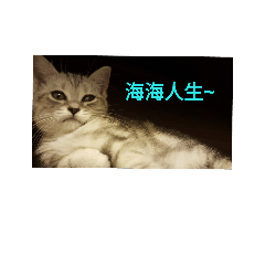 [LINEスタンプ] wmwm