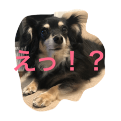 [LINEスタンプ] チワックスのルーク