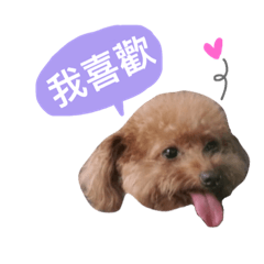 [LINEスタンプ] :::Puppy Brownie::: (2)